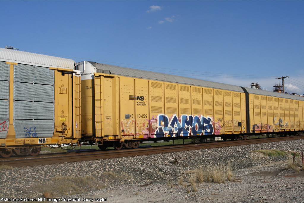 NS 110459